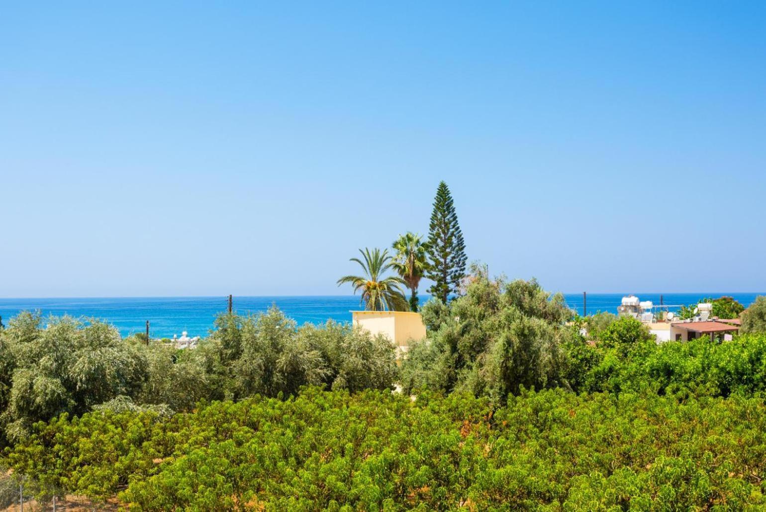 Villa Olivetta Kato Yialia Exteriör bild
